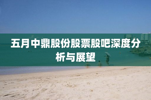 五月中鼎股份股票股吧深度分析与展望
