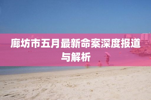 廊坊市五月最新命案深度报道与解析