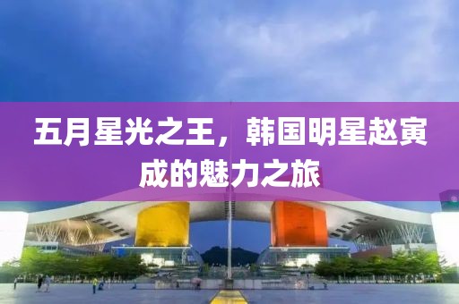 五月星光之王，韩国明星赵寅成的魅力之旅