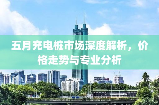 五月充电桩市场深度解析，价格走势与专业分析