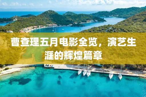 曹查理五月电影全览，演艺生涯的辉煌篇章