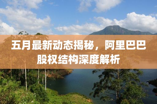 五月最新动态揭秘，阿里巴巴股权结构深度解析