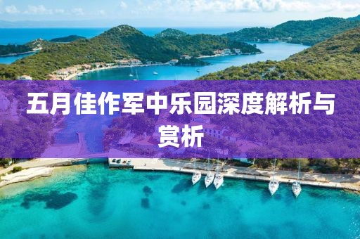 五月佳作军中乐园深度解析与赏析