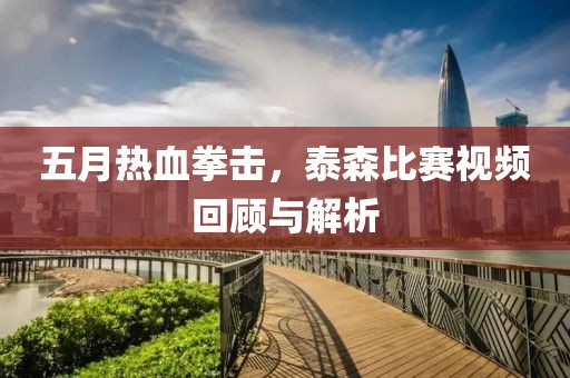 五月热血拳击，泰森比赛视频回顾与解析