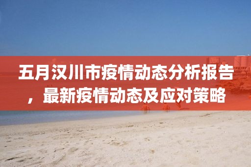 五月汉川市疫情动态分析报告，最新疫情动态及应对策略