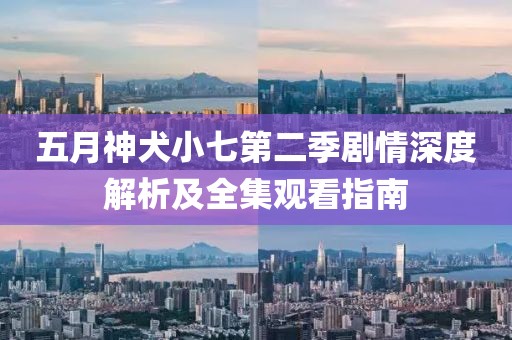 五月神犬小七第二季剧情深度解析及全集观看指南