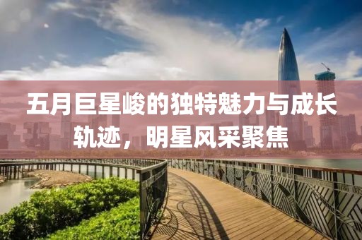 五月巨星峻的独特魅力与成长轨迹，明星风采聚焦