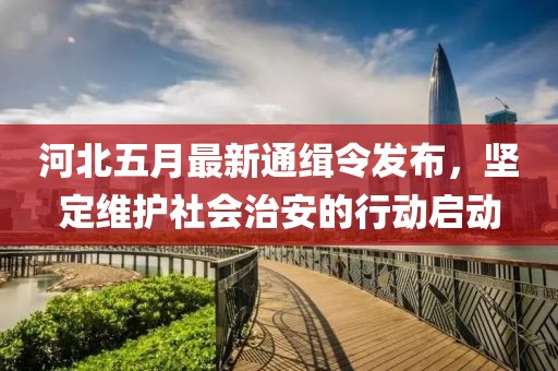 河北五月最新通缉令发布，坚定维护社会治安的行动启动