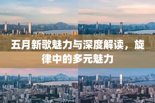 五月新歌魅力与深度解读，旋律中的多元魅力