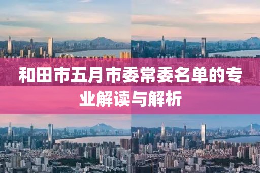和田市五月市委常委名单的专业解读与解析