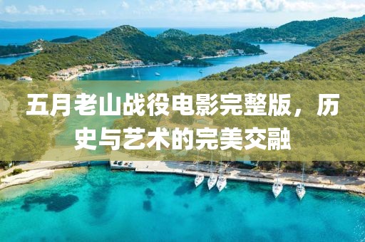 五月老山战役电影完整版，历史与艺术的完美交融