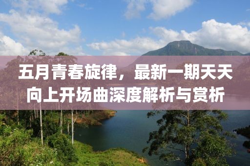 五月青春旋律，最新一期天天向上开场曲深度解析与赏析
