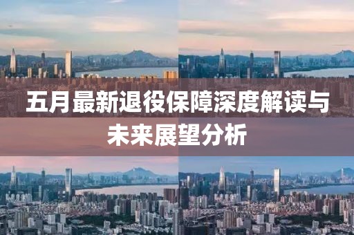 五月最新退役保障深度解读与未来展望分析