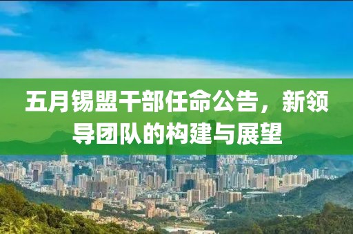 五月锡盟干部任命公告，新领导团队的构建与展望