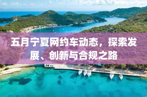 五月宁夏网约车动态，探索发展、创新与合规之路