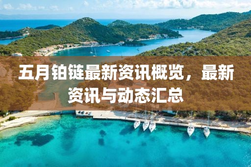 五月铂链最新资讯概览，最新资讯与动态汇总
