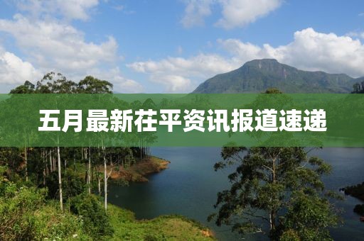 五月最新茌平资讯报道速递