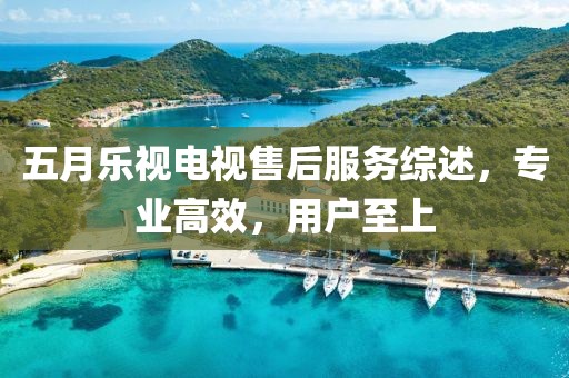 五月乐视电视售后服务综述，专业高效，用户至上