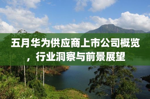 五月华为供应商上市公司概览，行业洞察与前景展望