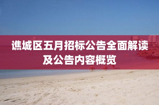 谯城区五月招标公告全面解读及公告内容概览