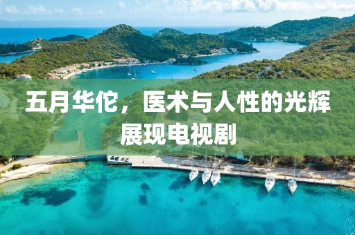 五月华佗，医术与人性的光辉展现电视剧