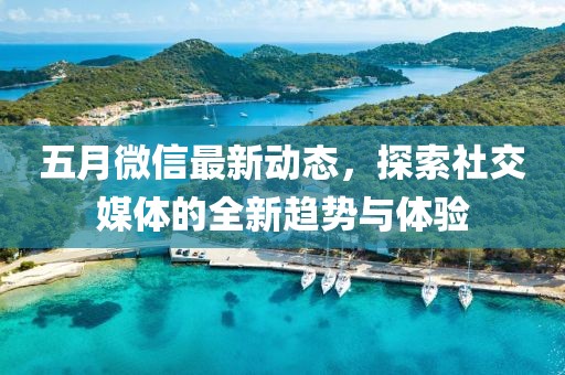 五月微信最新动态，探索社交媒体的全新趋势与体验