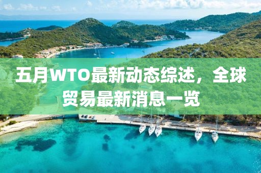 五月WTO最新动态综述，全球贸易最新消息一览