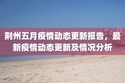 荆州五月疫情动态更新报告，最新疫情动态更新及情况分析