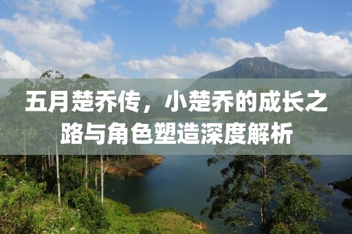五月楚乔传，小楚乔的成长之路与角色塑造深度解析