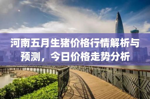 河南五月生猪价格行情解析与预测，今日价格走势分析