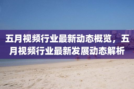 五月视频行业最新动态概览，五月视频行业最新发展动态解析