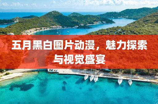 五月黑白图片动漫，魅力探索与视觉盛宴