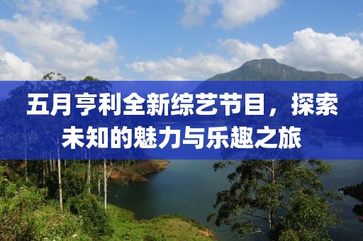 五月亨利全新综艺节目，探索未知的魅力与乐趣之旅