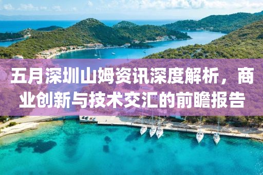 五月深圳山姆资讯深度解析，商业创新与技术交汇的前瞻报告