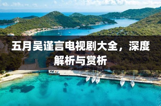 五月吴谨言电视剧大全，深度解析与赏析