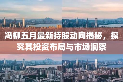 冯柳五月最新持股动向揭秘，探究其投资布局与市场洞察