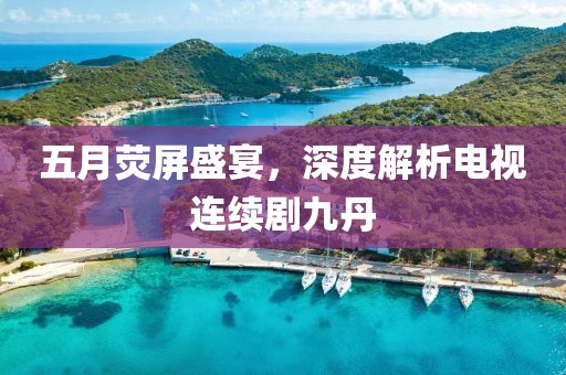 五月荧屏盛宴，深度解析电视连续剧九丹