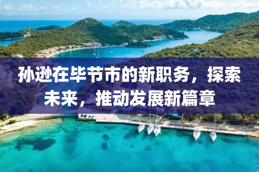 孙逊在毕节市的新职务，探索未来，推动发展新篇章