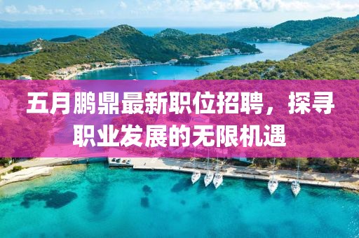 五月鹏鼎最新职位招聘，探寻职业发展的无限机遇