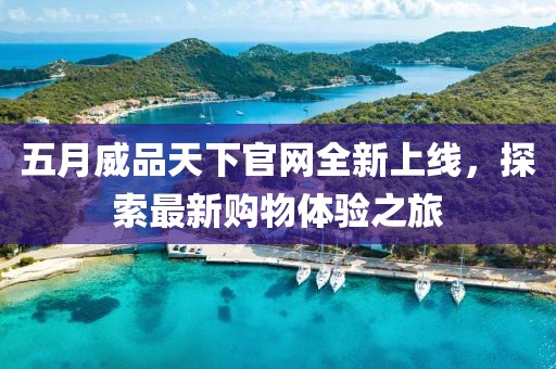 五月威品天下官网全新上线，探索最新购物体验之旅