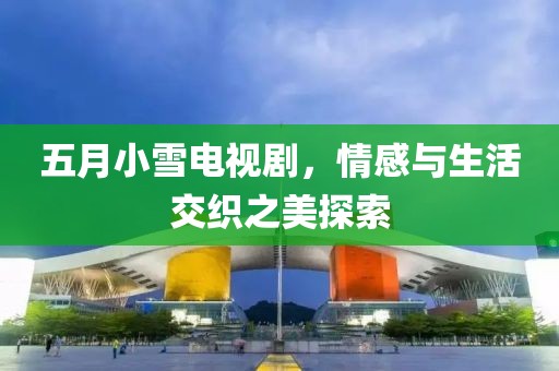 五月小雪电视剧，情感与生活交织之美探索