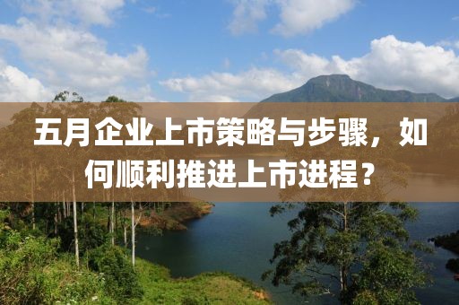 五月企业上市策略与步骤，如何顺利推进上市进程？
