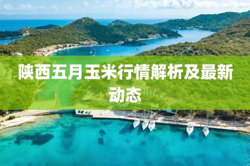 陕西五月玉米行情解析及最新动态