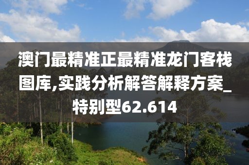 澳门最精准正最精准龙门客栈图库,实践分析解答解释方案_特别型62.614