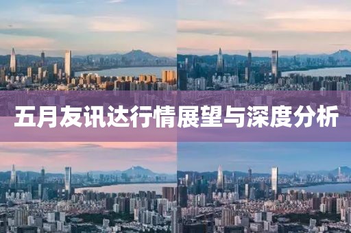 五月友讯达行情展望与深度分析