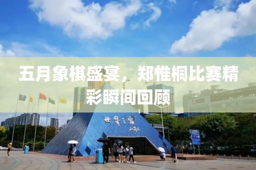 五月象棋盛宴，郑惟桐比赛精彩瞬间回顾