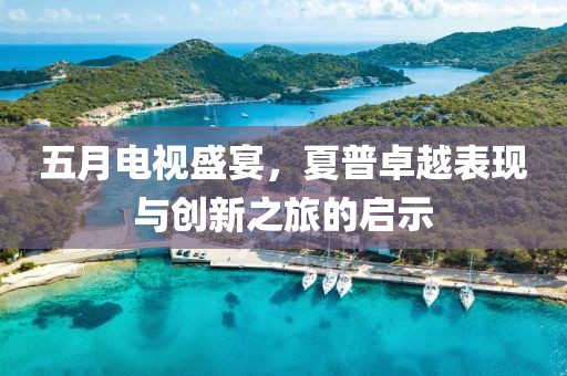 五月电视盛宴，夏普卓越表现与创新之旅的启示
