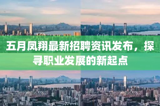 五月凤翔最新招聘资讯发布，探寻职业发展的新起点