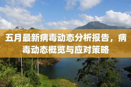 五月最新病毒动态分析报告，病毒动态概览与应对策略