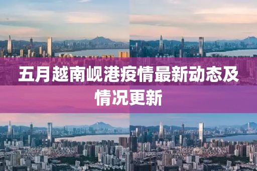 五月越南岘港疫情最新动态及情况更新
